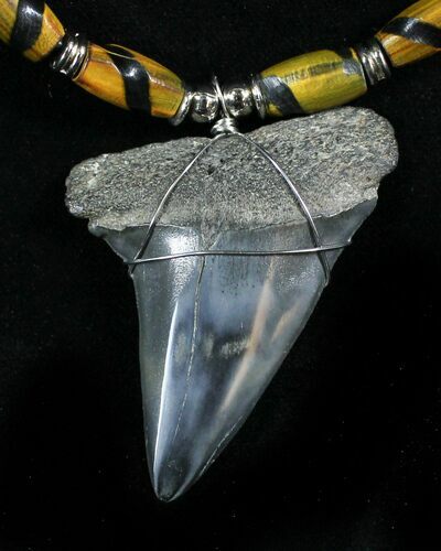 Fossil Mako Shark Tooth Necklace #27073